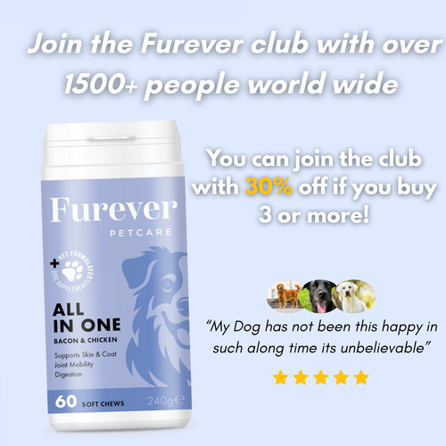 All-in-One Multivitamin for Dogs – 60 Soft Chews