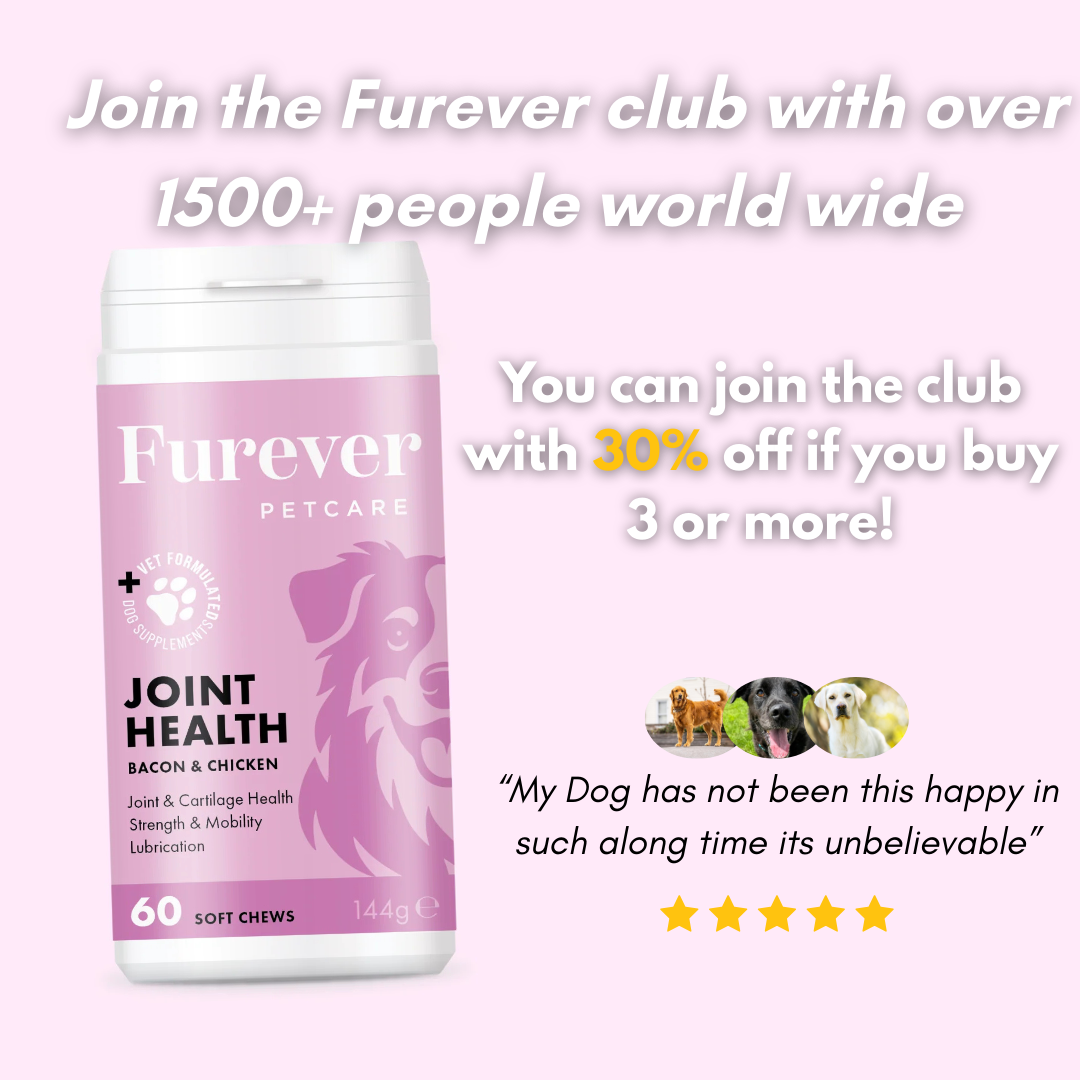 Hip & Joint Support Chews for Dogs – 60 Soft Chews