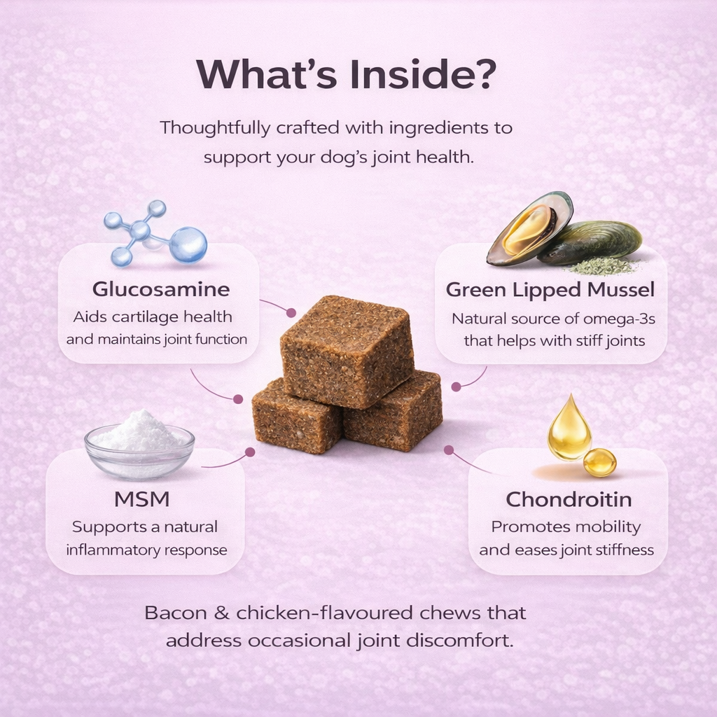 Joint Health Chews