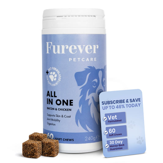 All In One Chews - One Time Purchase