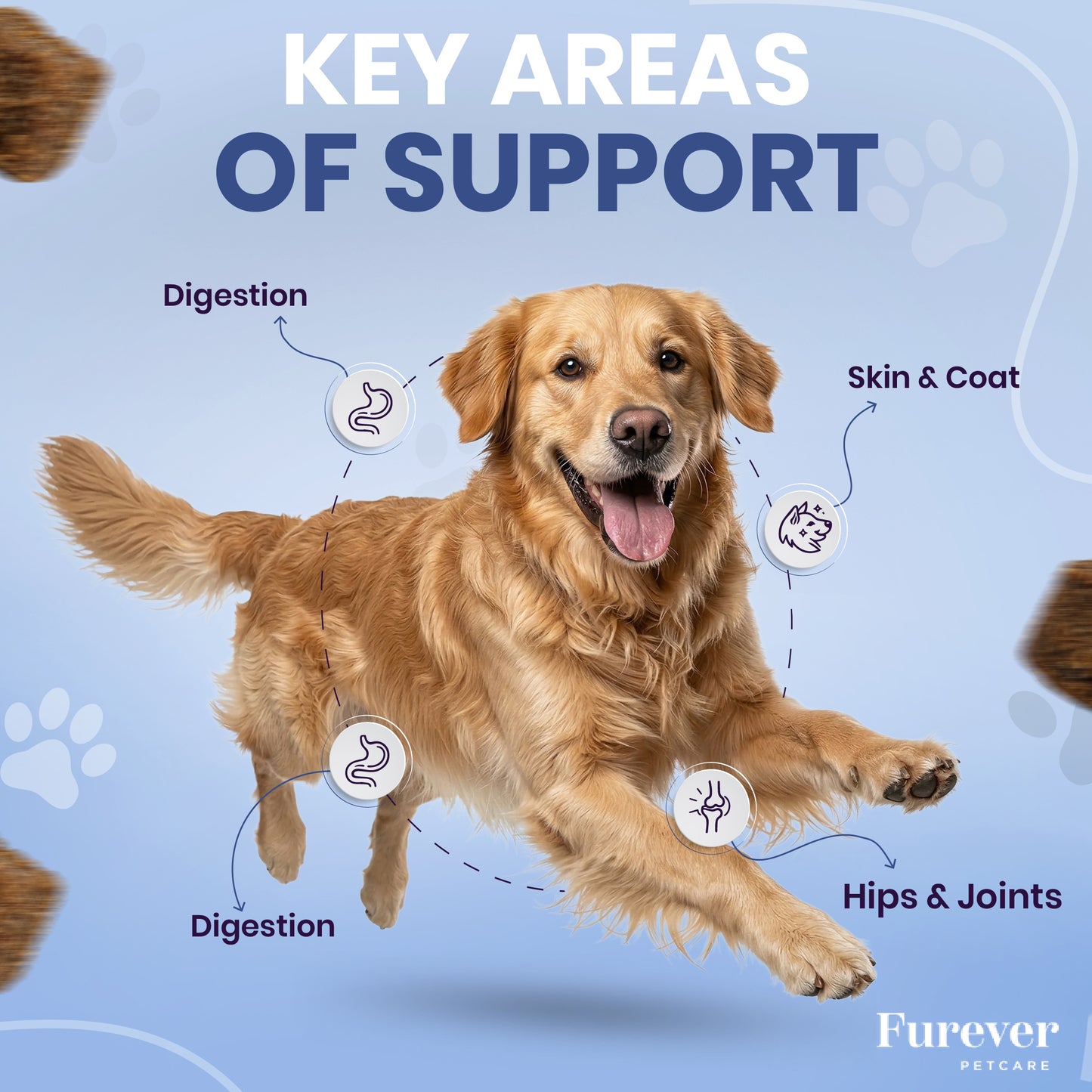 All In One Chews - One Time Purchase