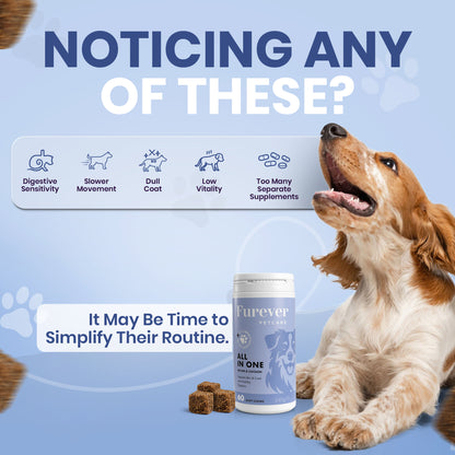All-in-One Chews Three Tubs