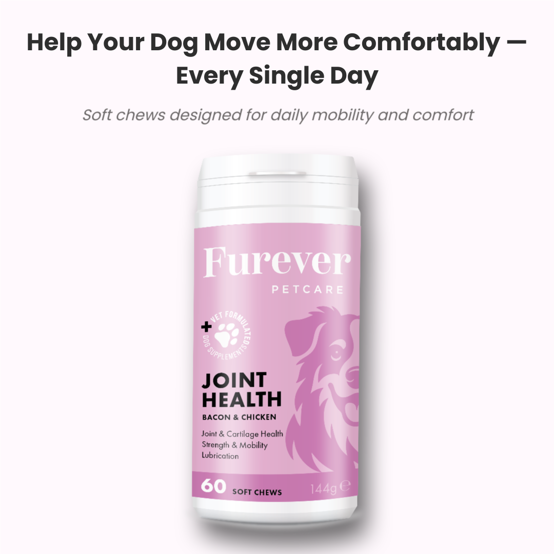 Joint Health Chews