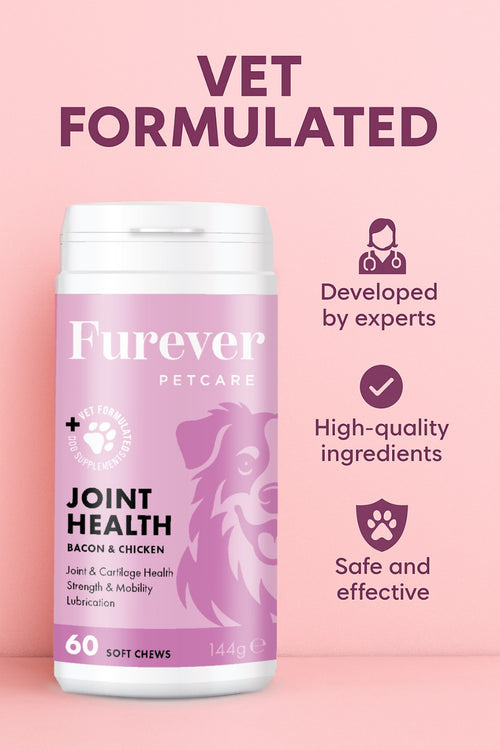 Hip & Joint Support Chews for Dogs – 60 Soft Chews