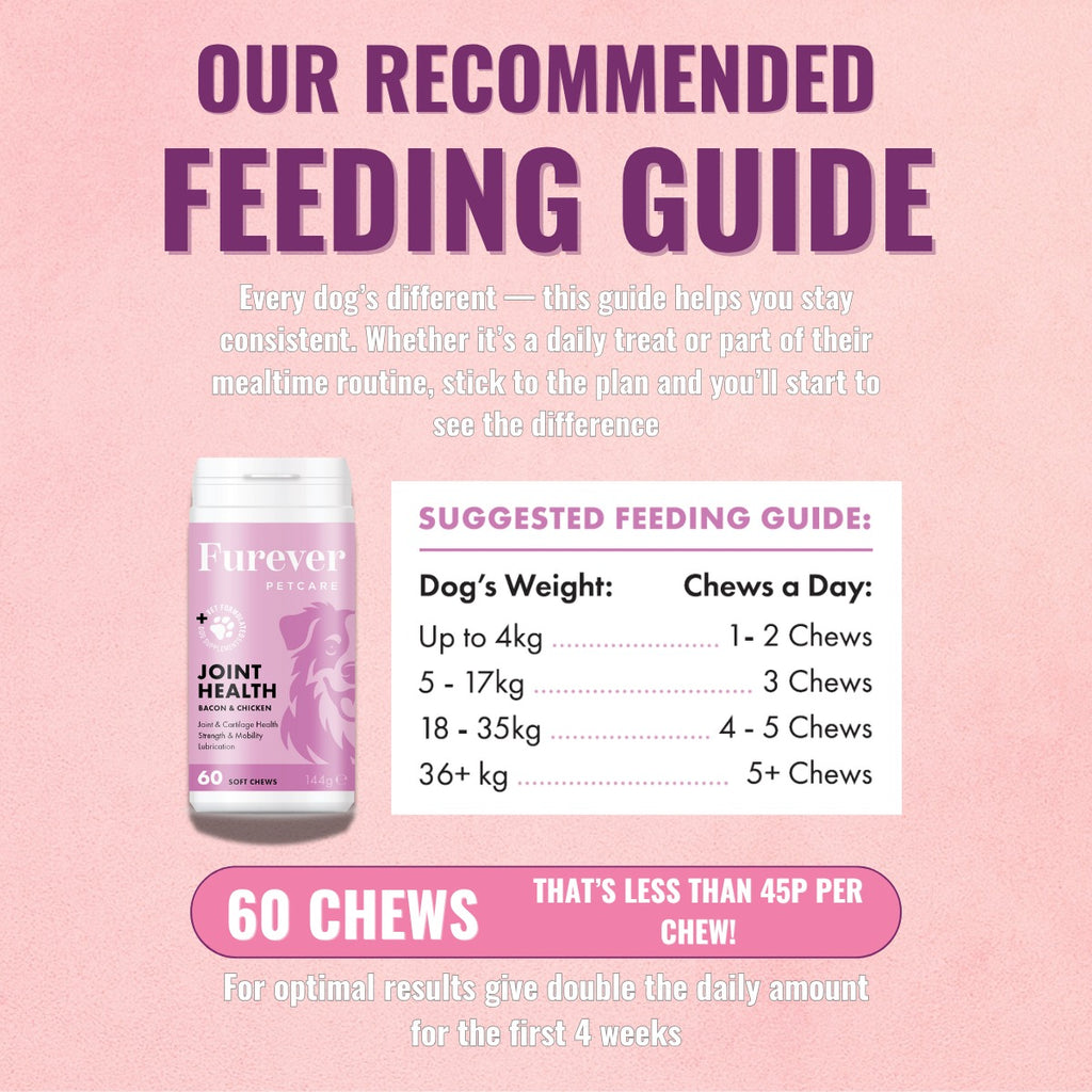 Hip & Joint Support Chews for Dogs – 60 Soft Chews