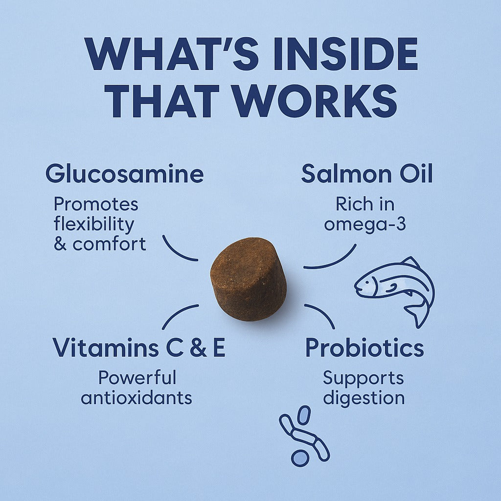 All-in-One Multivitamin for Dogs – 60 Soft Chews
