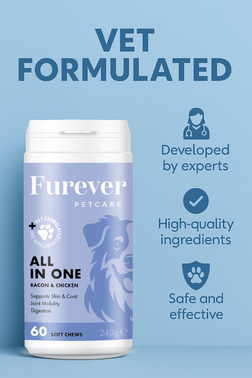 All-in-One Multivitamin for Dogs – 60 Soft Chews