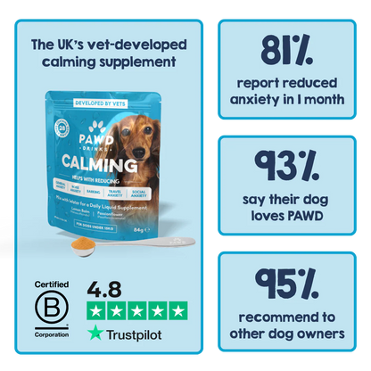 Natural Calming Powder For Dogs - Reduce Anxiety